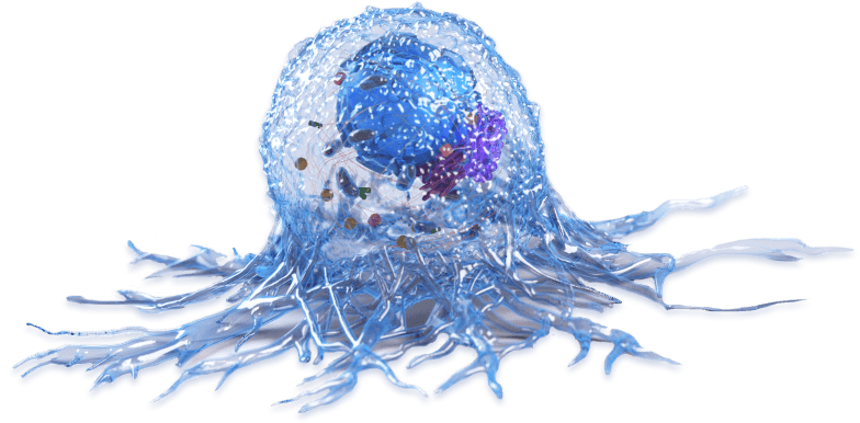 Exosome Vesicle Research Provides New Understanding In Cancer Immunology At The University Of Pittsburgh Cancer Institute thumbnail image