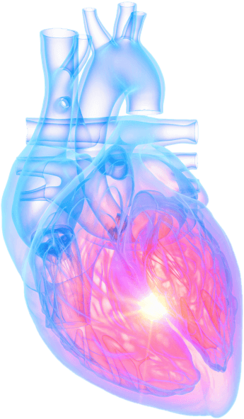Cardiac Biomarkers Renew Hope In Heart Health This American Heart Month thumbnail image