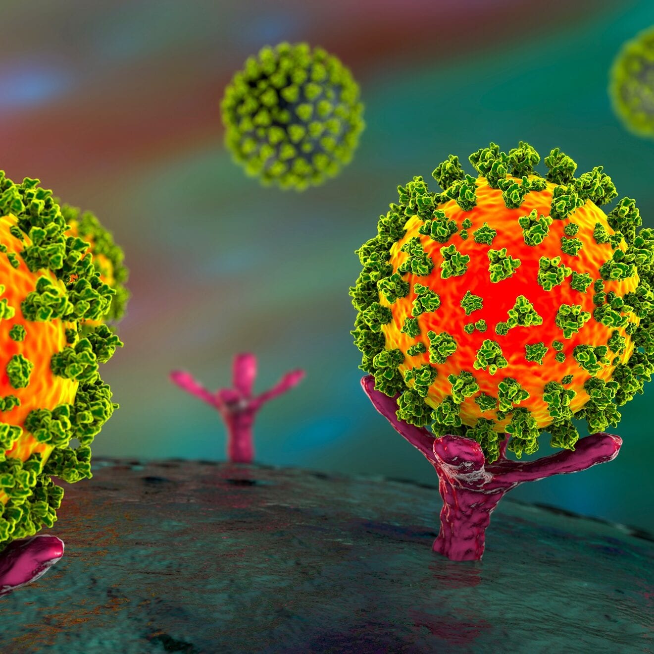 Quanterix Receives FDA Emergency Use Authorization for SARS-CoV-2 N Protein Antigen Test thumbnail image