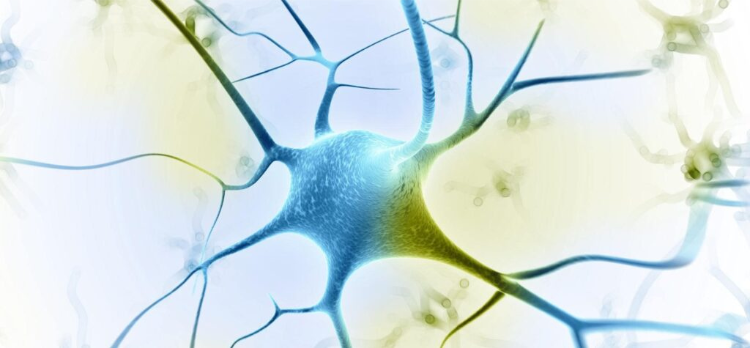 Multiple Sclerosis Biomarkers: The Future of Disease Detection and Management thumbnail image