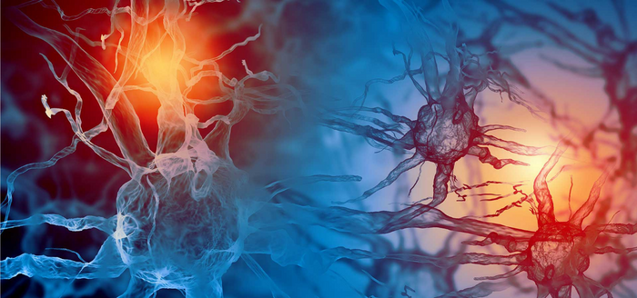 Ultrasensitive Detection of Neurofilament Light Assesses the Neurological Impact of Cardiac Surgery thumbnail image