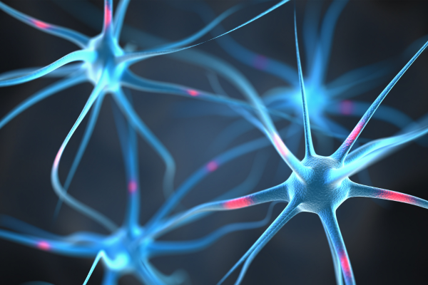 Establishing a Pediatric Reference Range for Serum Neurofilament Light Chain Using Simoa® Technology thumbnail image